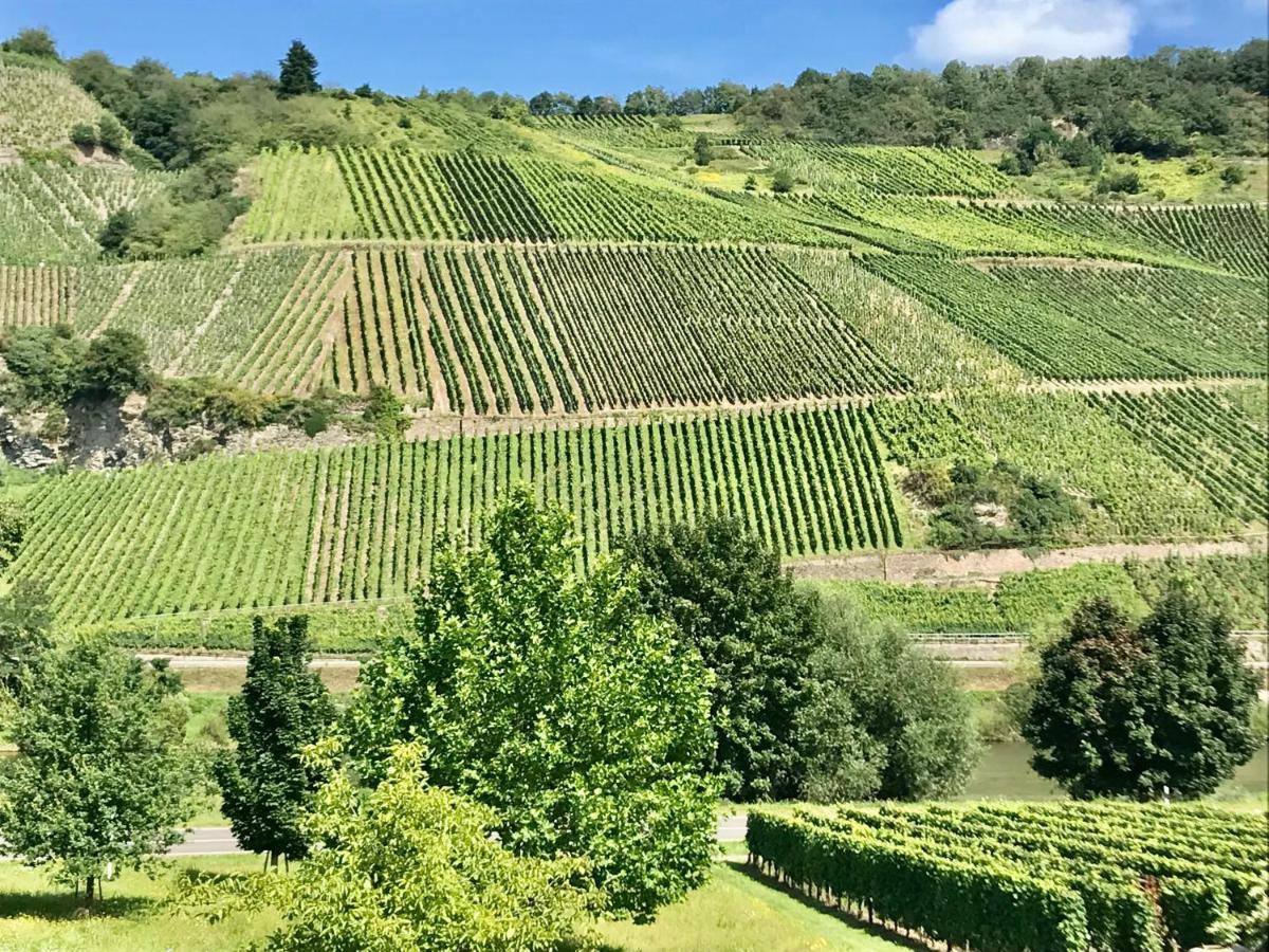 Weinlofts An Der Mosel Mit E10 Ladestation Διαμέρισμα Köwerich Εξωτερικό φωτογραφία
