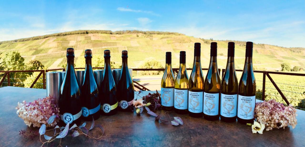 Weinlofts An Der Mosel Mit E10 Ladestation Διαμέρισμα Köwerich Εξωτερικό φωτογραφία