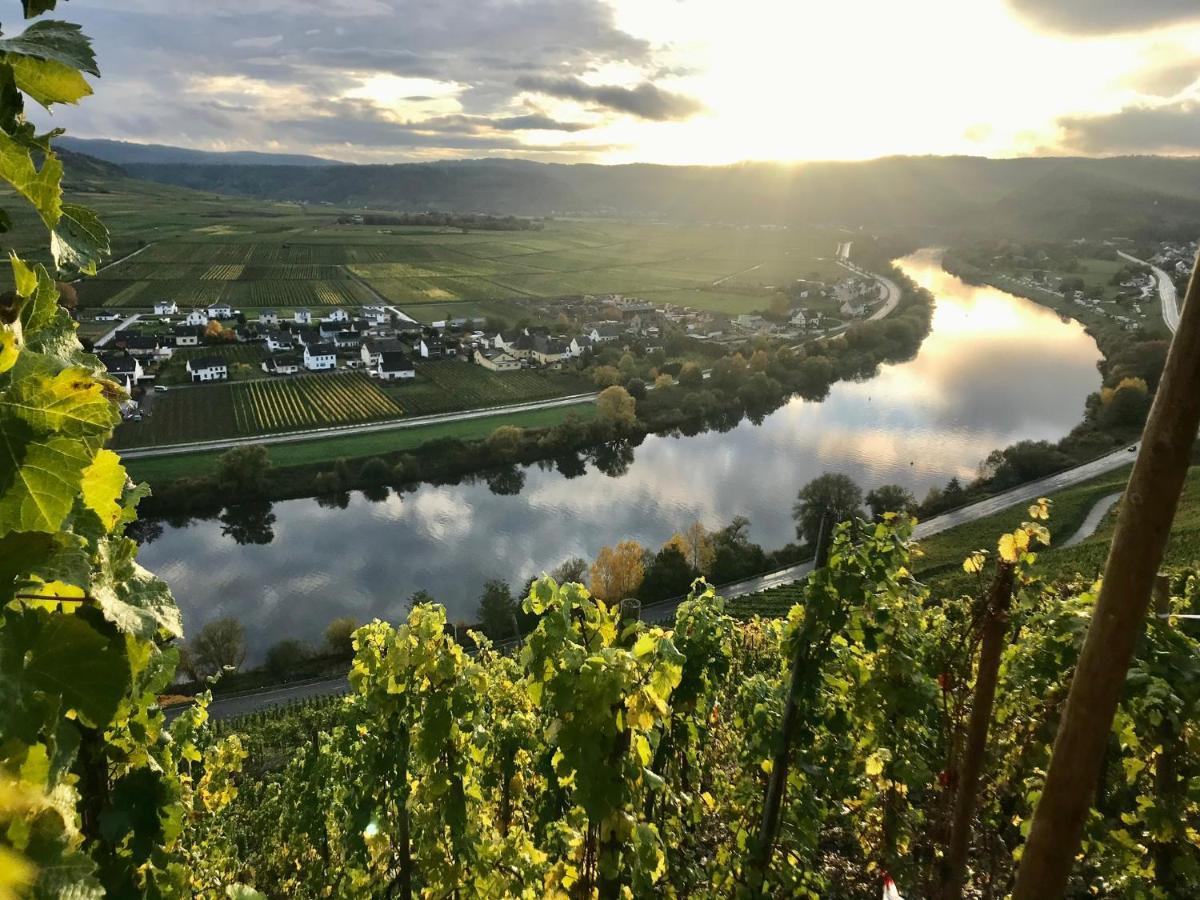 Weinlofts An Der Mosel Mit E10 Ladestation Διαμέρισμα Köwerich Εξωτερικό φωτογραφία
