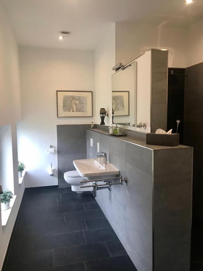 Weinlofts An Der Mosel Mit E10 Ladestation Διαμέρισμα Köwerich Εξωτερικό φωτογραφία