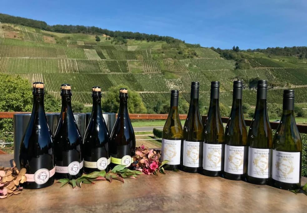 Weinlofts An Der Mosel Mit E10 Ladestation Διαμέρισμα Köwerich Εξωτερικό φωτογραφία